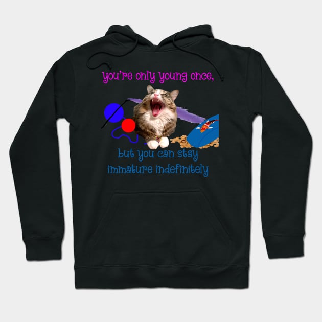 You're Only Young Once, But You Can Stay Immature Indefinitely Hoodie by TanoshiiNeko